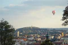 ROTEX留学体験談画像